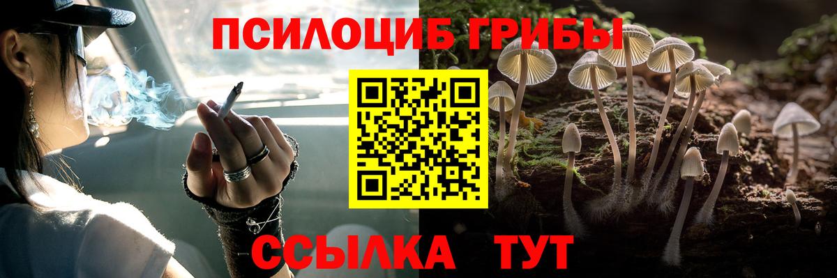 Галлюциногенные грибы Psilocybine cubensis Серов