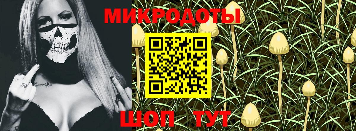 Серов  Псилоцибиновые грибы Psilocybine cubensis  Вход с VPN 