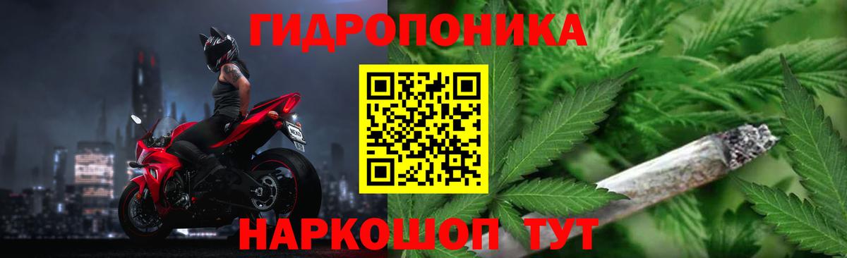 Бошки Шишки ГИДРОПОН  Каннабис AK-47  Серов  Вход с VPN  Канабис семена 